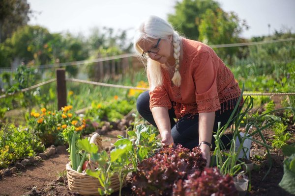 Comment créer un jardin biologique à la maison pour cultiver des légumes frais et sains ?