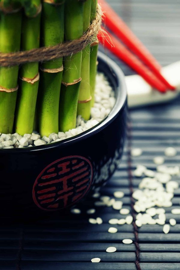 Quels principes du Feng Shui peuvent améliorer l'harmonie dans ma maison?